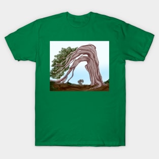 Tree print T-Shirt